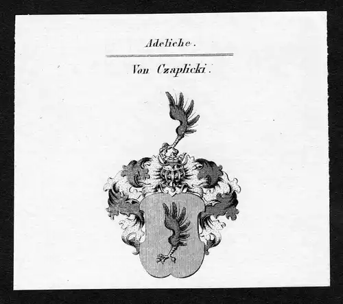 Von Czaplicki - Czaplicki Wappen Adel coat of arms Kupferstich  heraldry Heraldik