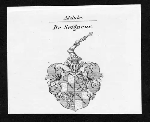 De Seigneux - Seigneux Wappen Adel coat of arms Kupferstich  heraldry Heraldik