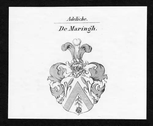 De Maringh - Maringh Wappen Adel coat of arms Kupferstich  heraldry Heraldik