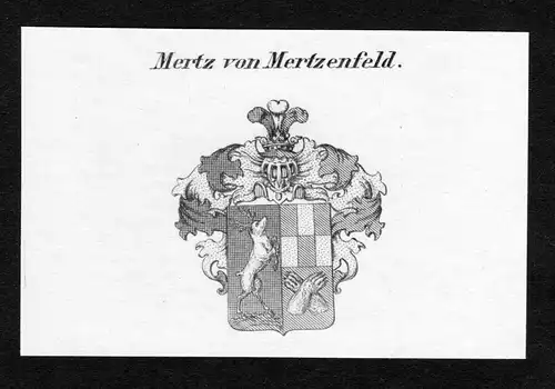 Mertz von Mertzenfeld - Mertz von Mertzenfeld Wappen Adel coat of arms Kupferstich  heraldry Heraldik