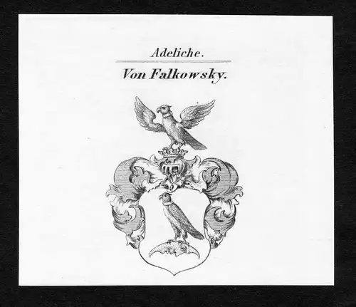 Von Falkowsky - Falkowsky Falkowski Wappen Adel coat of arms Kupferstich  heraldry Heraldik