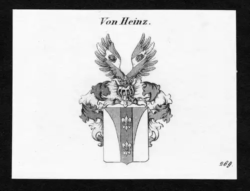 Von Heinz - Heinz Wappen Adel coat of arms Kupferstich  heraldry Heraldik