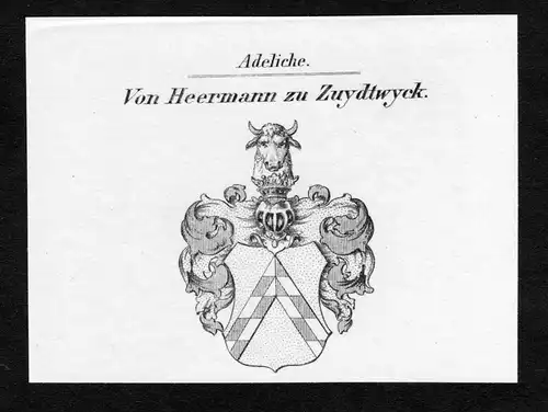 Von Heermann zu Zuydtwyck - Heereman von Zuydtwyck Wappen Adel coat of arms Kupferstich  heraldry Heraldik