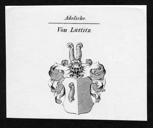 Von Lüttitz - Lüttitz Luettitz Luttitz Wappen Adel coat of arms Kupferstich  heraldry Heraldik