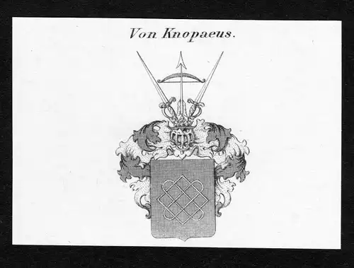 Von Knopaeus - Knopaeus Wappen Adel coat of arms Kupferstich  heraldry Heraldik