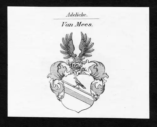 Von Mees - Mees Wappen Adel coat of arms Kupferstich  heraldry Heraldik