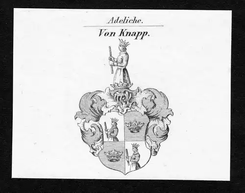 Von Knapp - Knapp Wappen Adel coat of arms Kupferstich  heraldry Heraldik