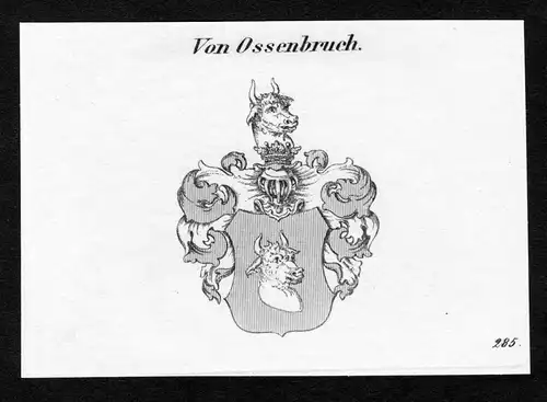 Von Ossenbruch - Ossenbruch Wappen Adel coat of arms Kupferstich  heraldry Heraldik