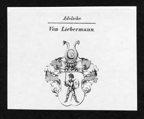 Von Liebermann - Liebermann Wappen Adel coat of arms Kupferstich  heraldry Heraldik