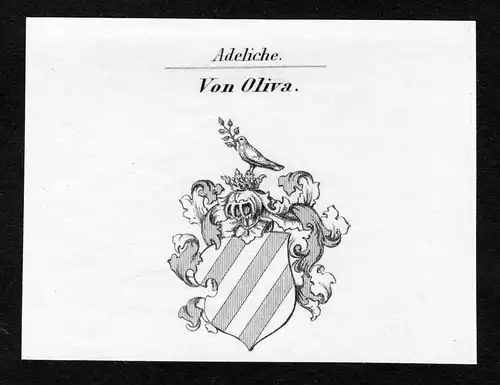 Von Oliva - Oliva Wappen Adel coat of arms Kupferstich  heraldry Heraldik