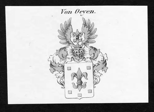 Von Oeyen - Oeyen Wappen Adel coat of arms Kupferstich  heraldry Heraldik