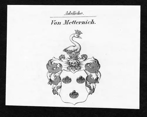 Von Metternich - Metternich Wappen Adel coat of arms Kupferstich  heraldry Heraldik