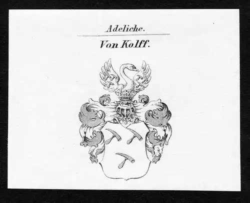 Von Kolff - Kolff Wappen Adel coat of arms Kupferstich  heraldry Heraldik