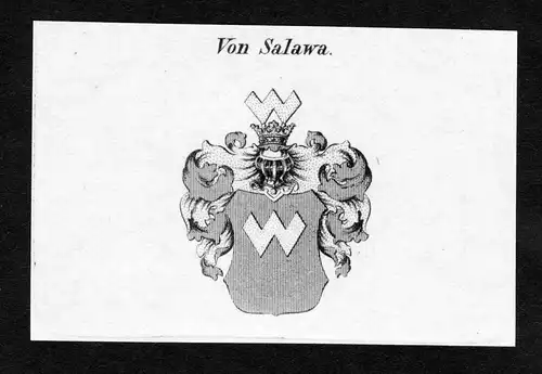 Von Salawa - Salawa Wappen Adel coat of arms Kupferstich  heraldry Heraldik