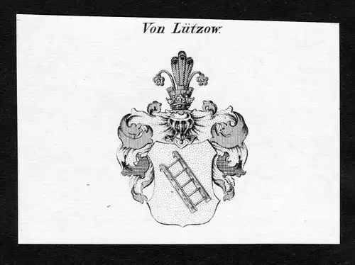 Von Lützow - Lützow Luetzow Lützau Luetzau Wappen Adel coat of arms Kupferstich  heraldry Heraldik