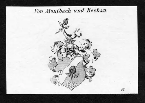 Von Montbach und Bechau - Montbach Bechau Wappen Adel coat of arms Kupferstich  heraldry Heraldik
