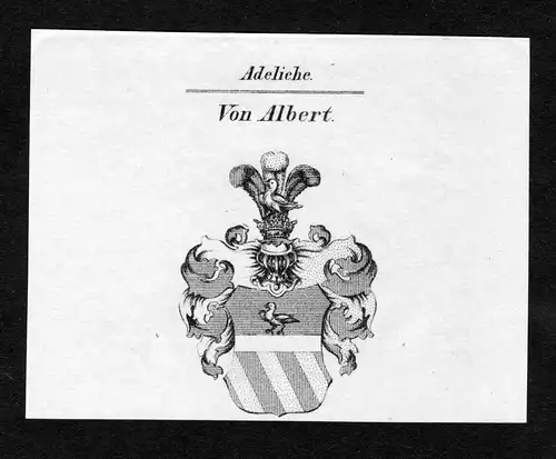 Von Albert - Albert Wappen Adel coat of arms Kupferstich  heraldry Heraldik
