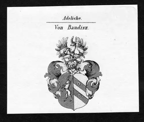 Von Baudisz - Baudisz Wappen Adel coat of arms Kupferstich  heraldry Heraldik