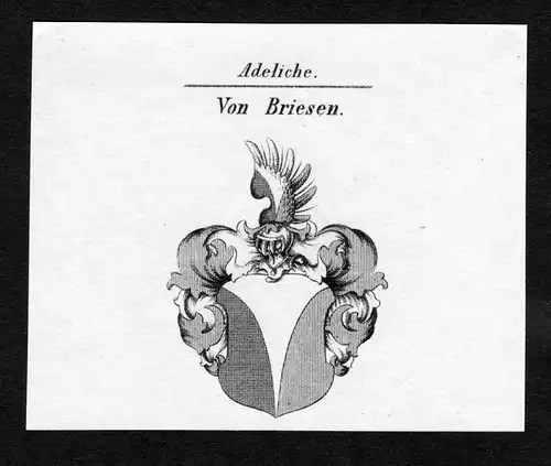 Von Briesen - Briesen Wappen Adel coat of arms Kupferstich  heraldry Heraldik