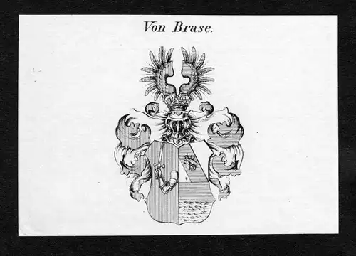 Von Brase - Brase Wappen Adel coat of arms Kupferstich  heraldry Heraldik