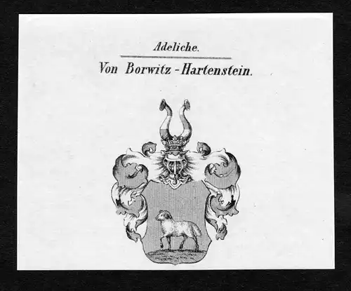 Von Borwitz-Hartenstein - Borwitz-Hartenstein Borwitz und Hartenstein Wappen Adel coat of arms Kupferstich  he