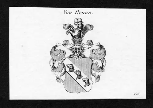 Von Brunn - Brunn Wappen Adel coat of arms Kupferstich  heraldry Heraldik