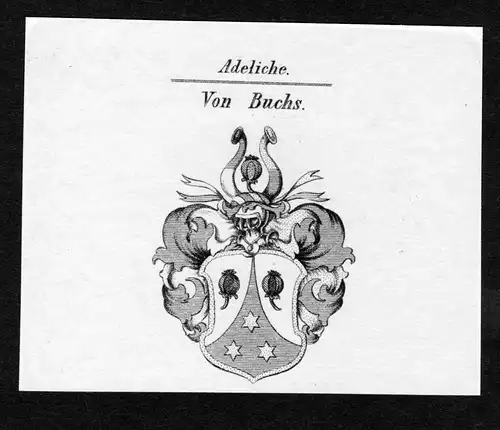 Von Buchs - Buchs Wappen Adel coat of arms Kupferstich  heraldry Heraldik