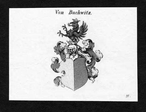 Von Buchwitz - Buchwitz Buchwitz von Buchau Wappen Adel coat of arms Kupferstich  heraldry Heraldik