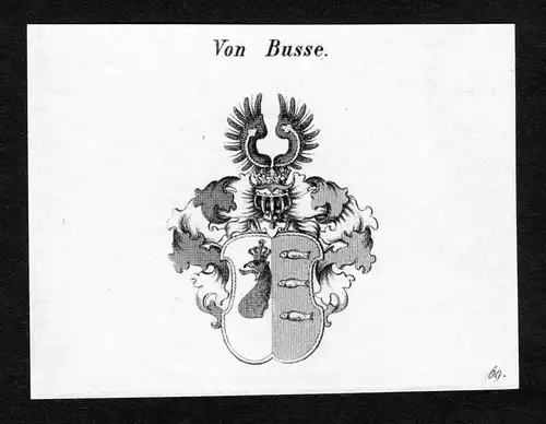 Von Busse - Busse Wappen Adel coat of arms Kupferstich  heraldry Heraldik