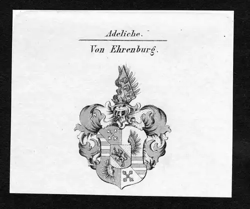Von Ehrenburg - Ehrenburg Wappen Adel coat of arms Kupferstich  heraldry Heraldik