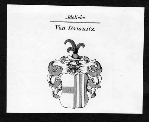 Von Damnitz - Damnitz Wappen Adel coat of arms Kupferstich  heraldry Heraldik