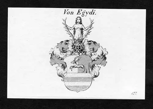Von Egydi - Egidy Wappen Adel coat of arms Kupferstich  heraldry Heraldik