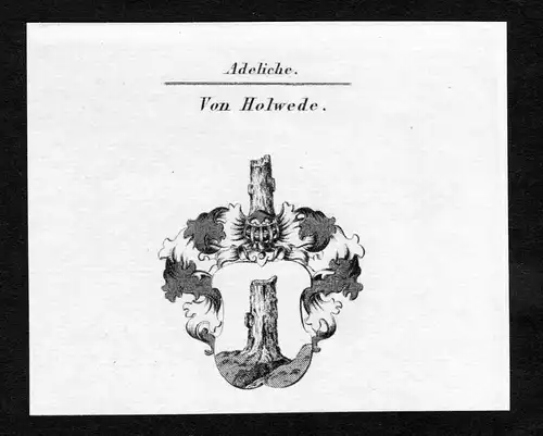 Von Holwede - Holwede Holwedel Hollwede Wappen Adel coat of arms Kupferstich  heraldry Heraldik
