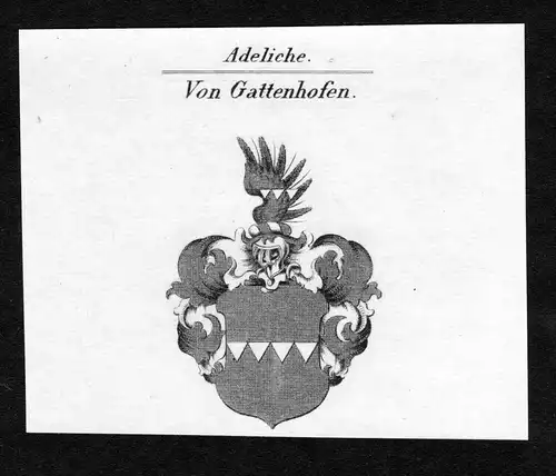 Von Gattenhofen - Gattenhofen Wappen Adel coat of arms Kupferstich  heraldry Heraldik