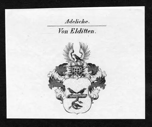 Von Elditten - Elditten Wappen Adel coat of arms Kupferstich  heraldry Heraldik