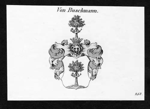 Von Buschmann - Buschmann Wappen Adel coat of arms Kupferstich  heraldry Heraldik