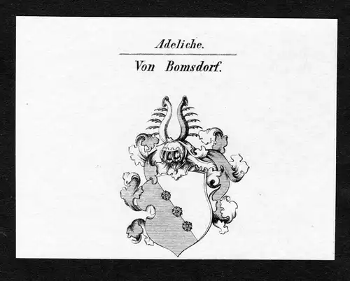Von Bomsdorf - Bomsdorff Wappen Adel coat of arms Kupferstich  heraldry Heraldik