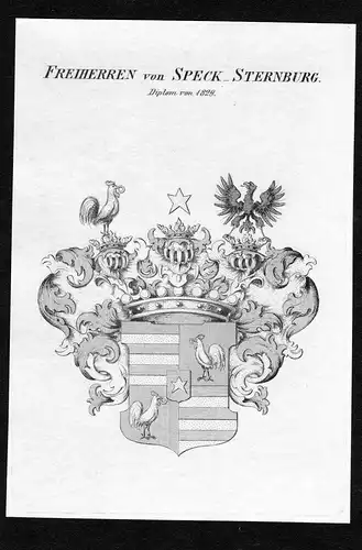 Freiherren von Speck-Sternburg - Speck von Sternburg Wappen Adel coat of arms Kupferstich  heraldry Heraldik