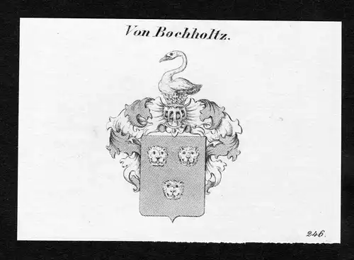 Von Bochholtz - Bocholtz Bucholtz Wappen Adel coat of arms Kupferstich  heraldry Heraldik
