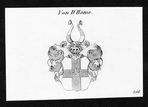 Von D'Hame - d'Hame Wappen Adel coat of arms Kupferstich  heraldry Heraldik