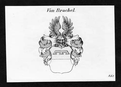 Von Brachel - Brachel Wappen Adel coat of arms Kupferstich  heraldry Heraldik