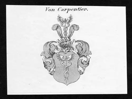 Von Carpentier - Carpentier Wappen Adel coat of arms Kupferstich  heraldry Heraldik
