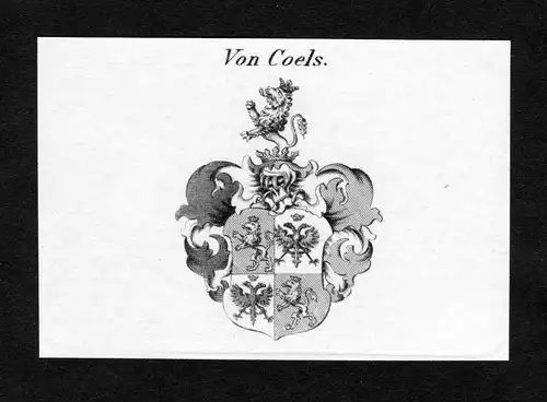 Von Coels - Coels Wappen Adel coat of arms Kupferstich  heraldry Heraldik