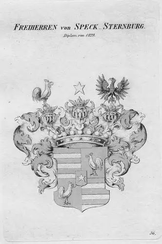 Speck-Sternburg Wappen Adel coat of arms heraldry Heraldik Kupferstich