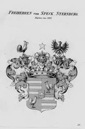 Speck Sternburg Wappen Adel coat of arms heraldry Heraldik Kupferstich
