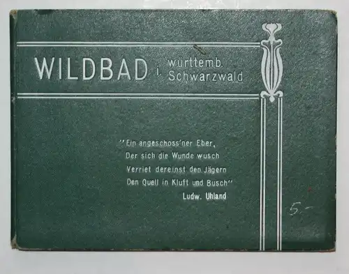 Wildbad i. württemb. Schwarzwald.