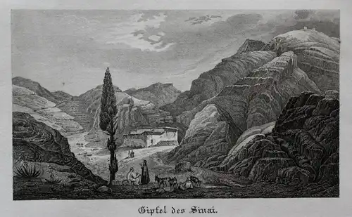 Gipfel des Sinai - Mount Sinai Ägypten Egypt Ansicht view Stahlstich steel engraving antique print