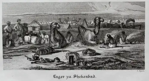 Lager zu Shekoabad. - Shikohabad bedouins India Indien Ansicht view Stahlstich steel engraving antique print