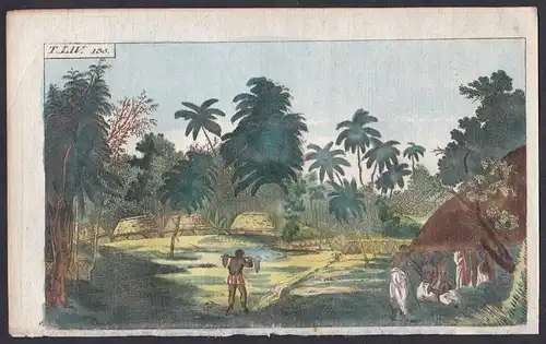 T. LIV. 135. - Polynesia Tonga Pazifik funeral Beerdigung Freundschaftsinseln Kupferstich copper engraving ant