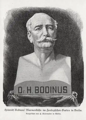 Heinrich Bodinus' Marmorbüste im Zoologischen Garten in Berlin - Heinrich Bodinus Arzt doctor Zoologe zoologis